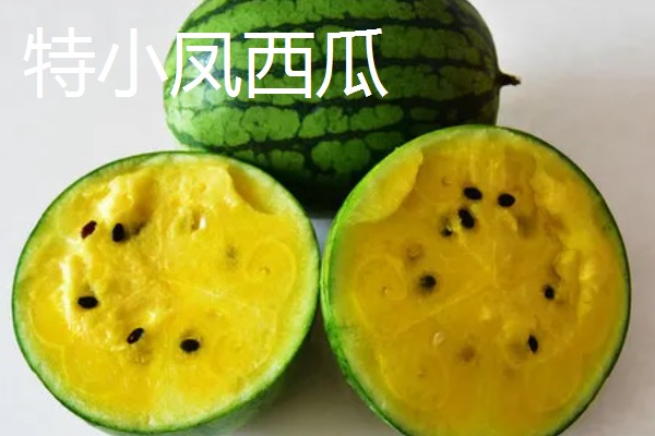 西瓜的产地，全国各地都有栽培