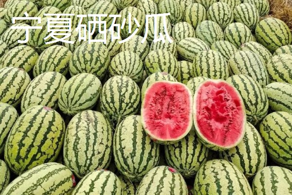 西瓜的产地，全国各地都有栽培