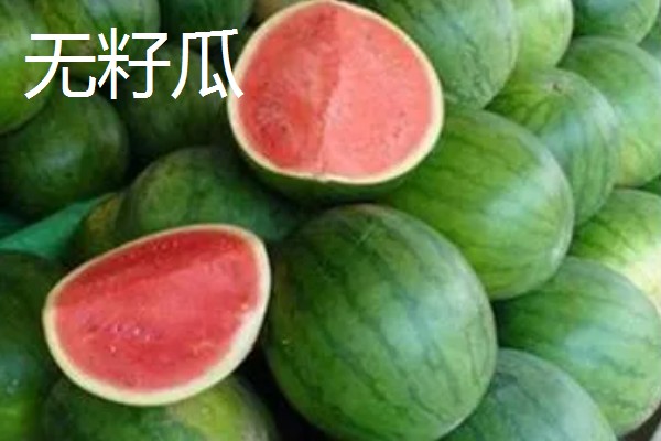 西瓜的产地，全国各地都有栽培