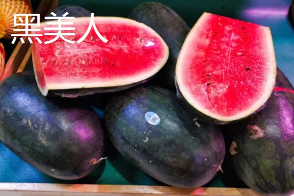 西瓜的产地，全国各地都有栽培