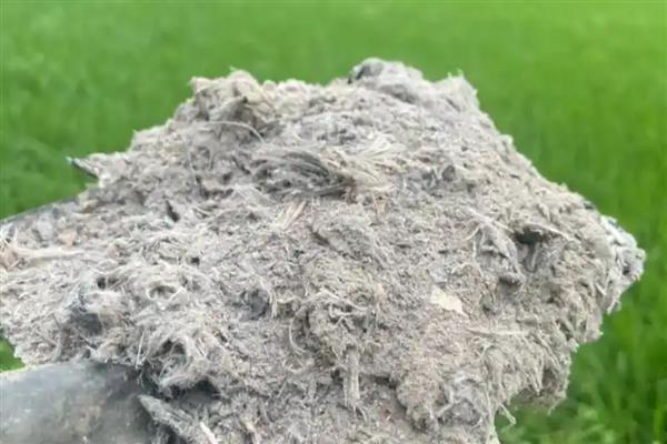 用什么去除花上的黑色腻虫，可以用草木灰、食醋等