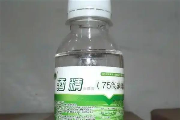 狗狗能吃水果吗，从以下5点出发去饲喂