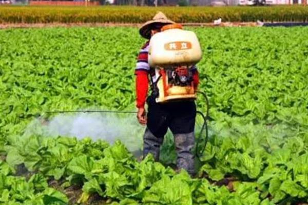 农用硫酸镁怎么使用，追肥时可随水冲施作物田