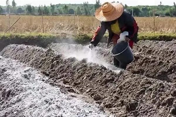 农用硫酸镁怎么使用，追肥时可随水冲施作物田