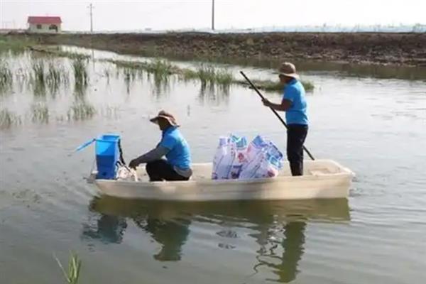 对虾怎么养殖，通过减少投喂等方式调节水质