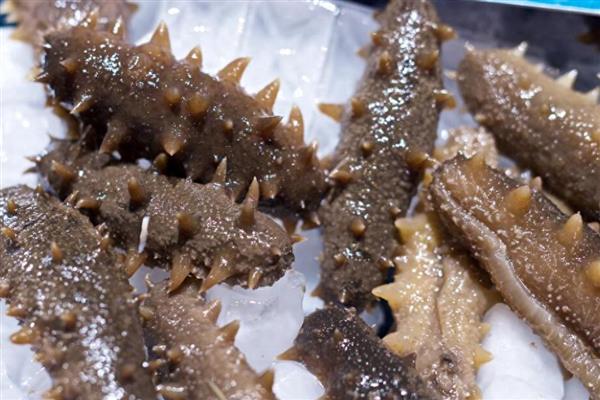 怎么泡海参，要准备好干净无油的容器