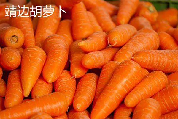 胡萝卜的亩产量，一般能达到1万斤左右