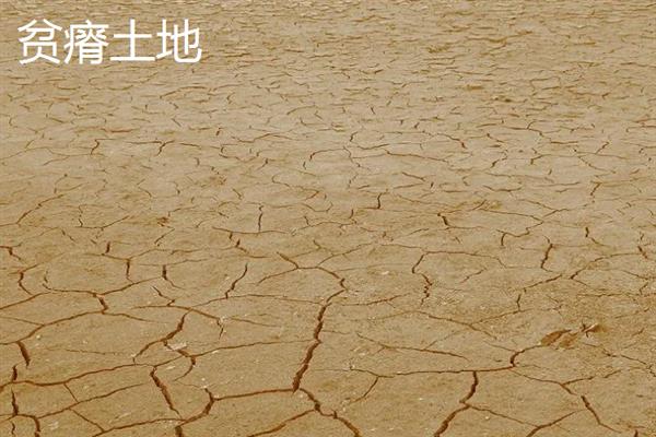 三月种花生在几月成熟，7-9月份可以成熟