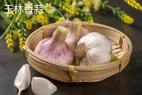 广西玉林的特产，沙田柚可竞争国际市场