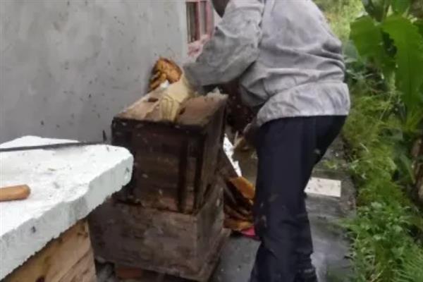 蜜蜂越冬期间如何保温，用草帘包裹蜂箱可提高温度