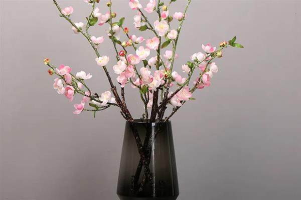 桃花枝泡水能不能开花，带有花蕾的枝条养护一段时间便可开放