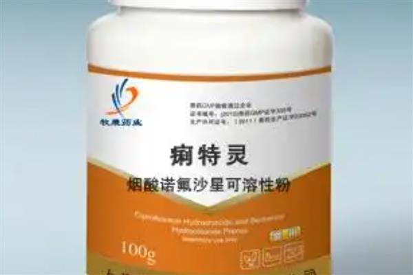 鹦鹉鱼的常见疾病，常见的有白点病、烂鳃病等