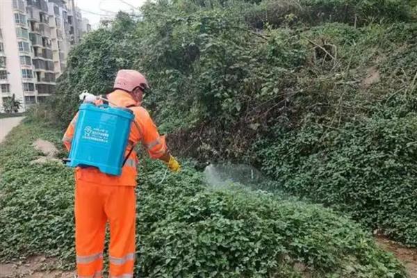 冬季打农药要注意什么，在晴天高温时段用药效果更好