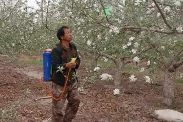 氨基酸肥料的优点，主要有以下9点