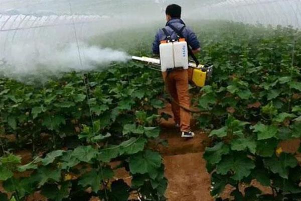 氨基酸肥料的优点，主要有以下9点