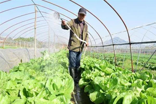 氨基酸肥料的优点，主要有以下9点