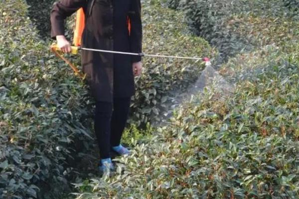 氨基酸肥料的优点，主要有以下9点