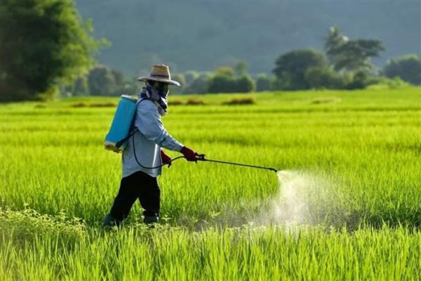 怎么使用BT杀虫剂，与其它杀虫剂混用可提高防治效果
