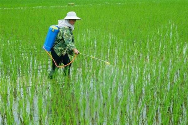 怎么使用BT杀虫剂，与其它杀虫剂混用可提高防治效果