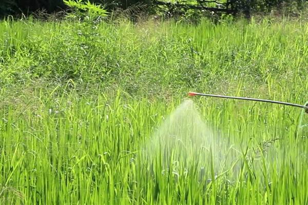 怎么使用BT杀虫剂，与其它杀虫剂混用可提高防治效果