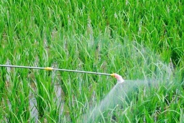 怎么使用BT杀虫剂，与其它杀虫剂混用可提高防治效果