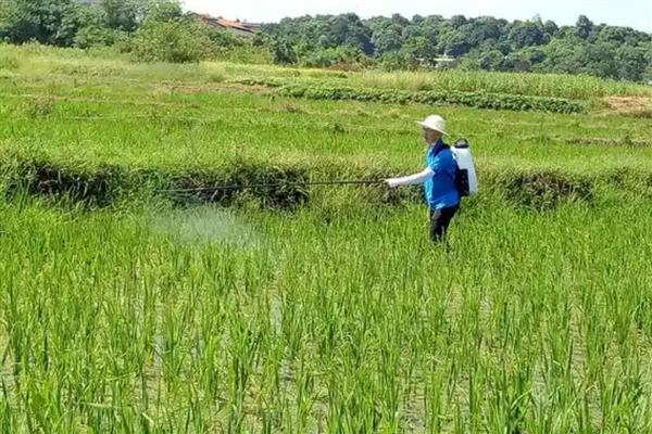 怎么使用BT杀虫剂，与其它杀虫剂混用可提高防治效果