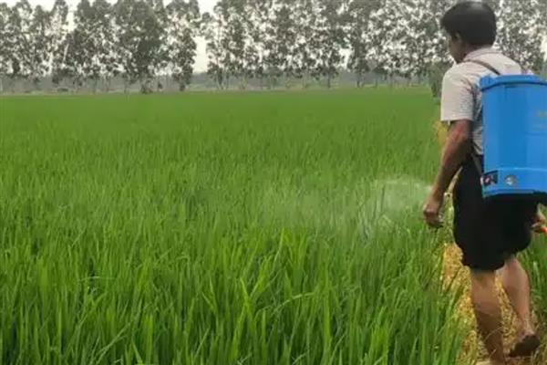 怎么使用BT杀虫剂，与其它杀虫剂混用可提高防治效果