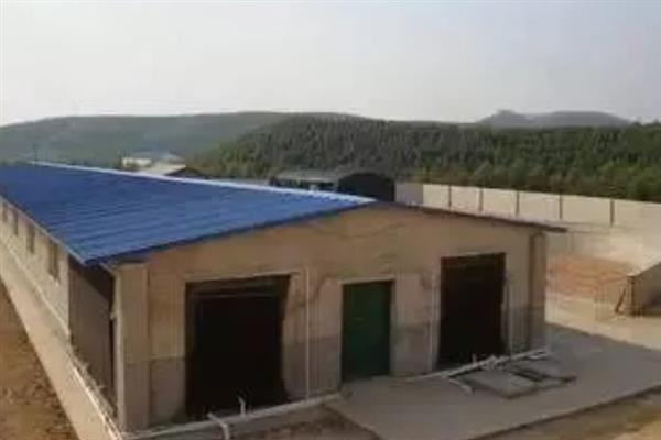 猪舍的建造方法，用混凝土铺设地面