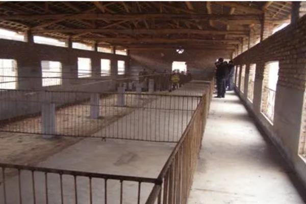 猪舍的建造方法，用混凝土铺设地面