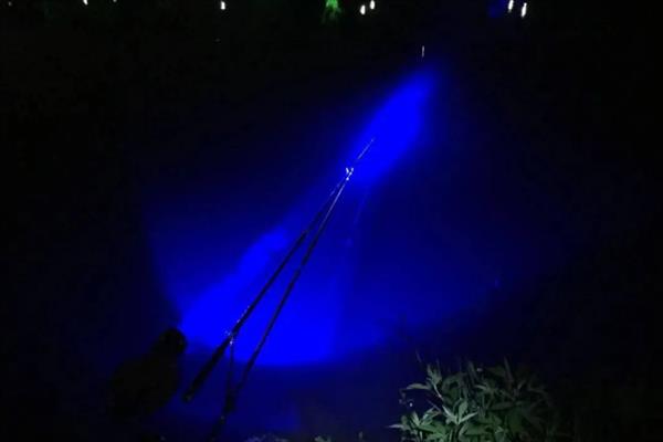 夜钓适合钓深还是钓浅，钓浅、钓边更容易中鱼