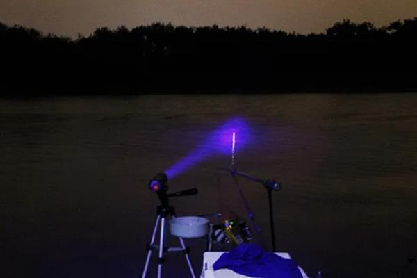 夜钓适合钓深还是钓浅，钓浅、钓边更容易中鱼