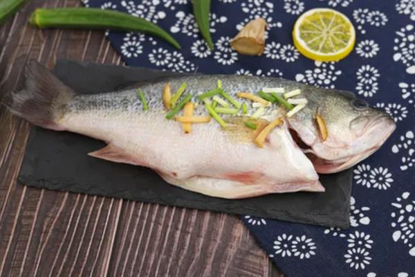 海鲈鱼品种介绍，主要分为白鲈和黑鲈