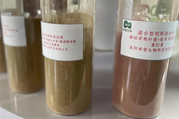 蛋鸡有哪些饲料添加剂，有微量元素、氨基酸等