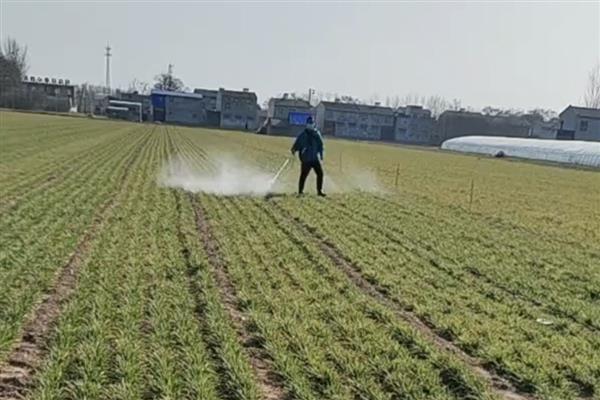 农药在100℃的高温下还有没有药性，大多数药物依然具有效果