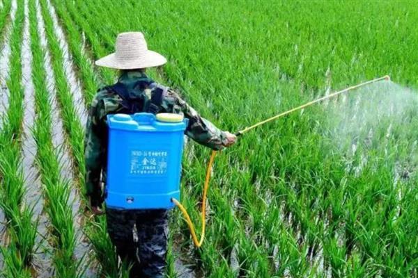 农药在100℃的高温下还有没有药性，大多数药物依然具有效果