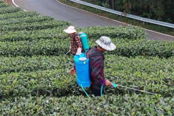 农药在100℃的高温下还有没有药性，大多数药物依然具有效果