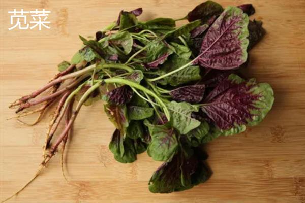 营养丰富的野菜，常见的有曲曲菜、野蒜等