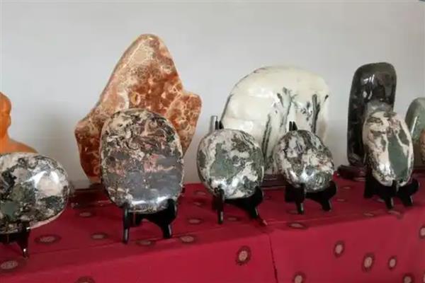 青海省乌兰县的特产，冬虫夏草在国际市场上享有声誉