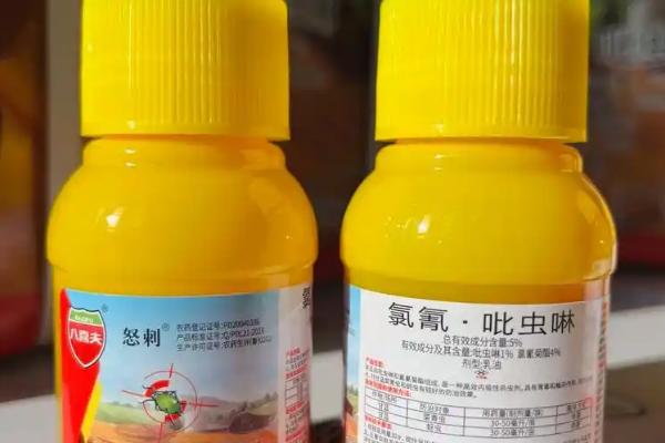 吡虫啉的作用，主要用于防治刺吸式容口器害虫