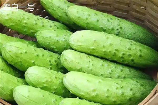 水果黄瓜的品种，常见申青小脆、航瓜玉妮等6个品种