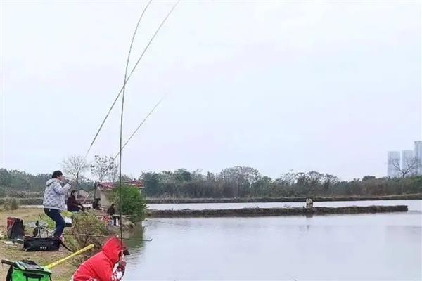 钓鲢鳙的方法，调4目钓2目有不错的效果