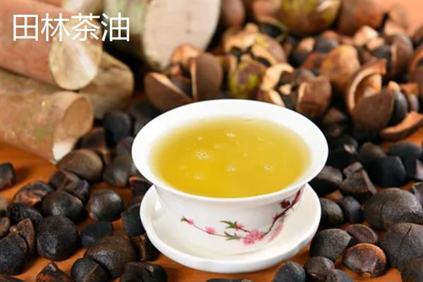 广西田林县的特产，定安豆腐乳的风味别具一格