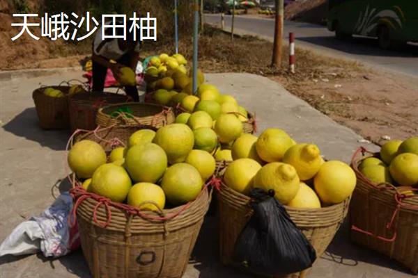 广西田林县的特产，定安豆腐乳的风味别具一格