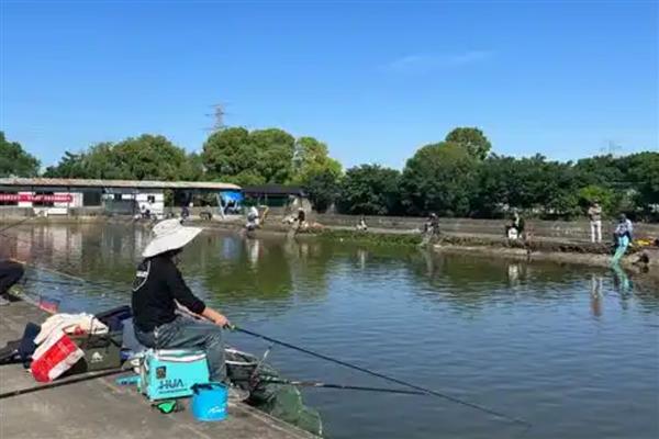 路亚鲈鱼可以吗，路亚钓法能用来钓鲈鱼