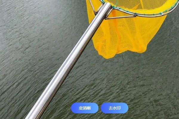 抄网的简介，是一种用来钓鱼的辅助工具