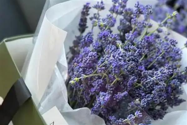 结婚一周年送老婆什么花合适，可以选择玫瑰花、百合花等