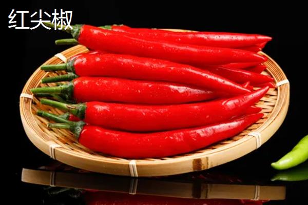 红椒苗的价格，一株需要0.2-0.8元左右