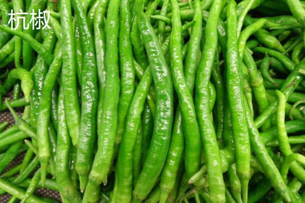 杭椒与线椒有什么区别，外观、口感、食用方法均不同