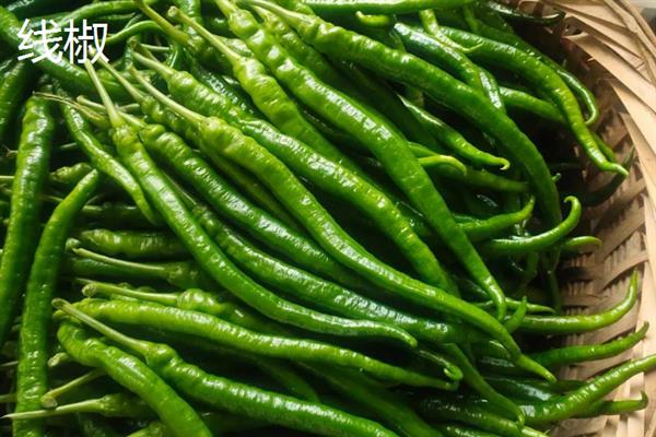 杭椒与线椒有什么区别，外观、口感、食用方法均不同