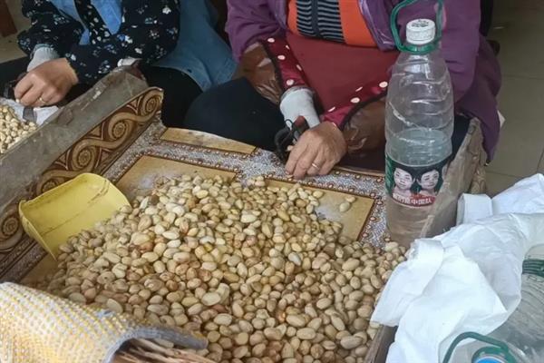开心果价格贵的原因，是受到生长周期、种植范围等因素的影响
